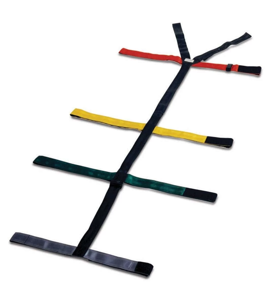 Lifeguard 10 Point Straps