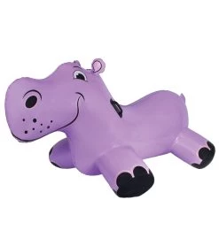 Happy Hippo Rider