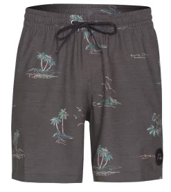 Quiksilver Men's 17" Mix Swim Trunks